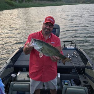 Meet your Posher, Steve